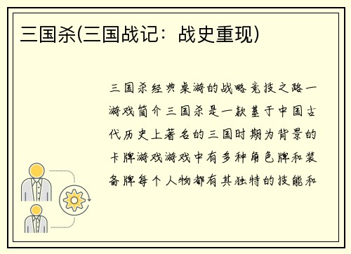 三国杀(三国战记：战史重现)